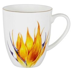 Кружка Strelitzia 400 мл в подарочной упаковке, костяной фарфор, Anna Lafarg Emily, AL-605S-E11
