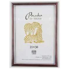 Рамка пластиковая 21Х30, Зебра, 310 бордовый