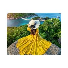 Набор для творчества Рыжий кот Холст с красками по номерам Девушка в платье на фоне моря 17х22см