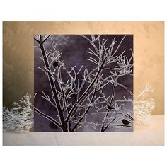 Светодиодное оптоволоконное настенное панно птички В ветвях, LED-огни, фиброволокно,40х40 см, Peha Magic