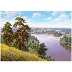 Алмазная мозаика с нанесенной рамкой Molly 40х50 см Прищепа. Обрыв