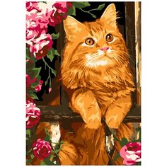 Набор для творчества LORI Картина по номерам "Рыжий котик"