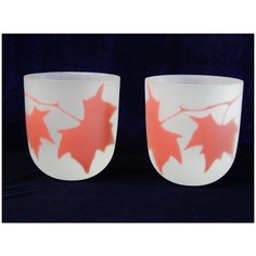 Набор стеклянных кашпо NiNaGlass Аутум Кленовый лист 2 штуки