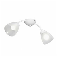 Люстра Vitaluce V3737-0/2PL, E14, 80 Вт