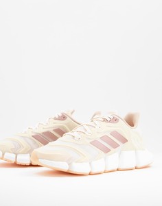 Кремовые кроссовки adidas Climacool Vento-Белый