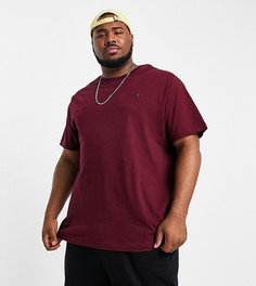 Бордовая футболка с логотипом Polo Ralph Lauren Big & Tall-Красный