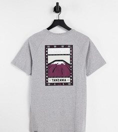 Серая футболка The North Face Faces эксклюзивно для ASOS-Серый