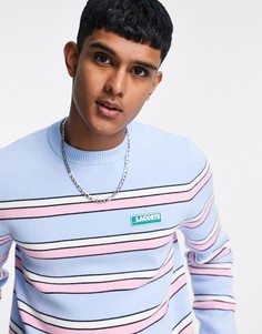 Джемпер в полоску Lacoste Live-Голубой