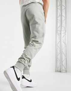 Серые легкие джоггеры The North Face NSE-Серый