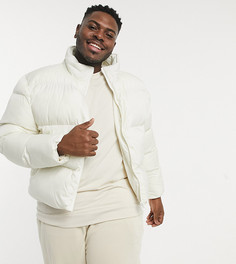 Пуховик из переработанных материалов цвета экрю ASOS DESIGN Plus Recycled-Белый