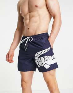 Шорты для плавания с логотипом в виде крокодила Lacoste-Темно-синий