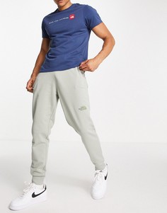 Серые легкие джоггеры The North Face NSE-Серый