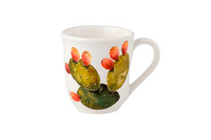 Кружка Cactus Nuova cer