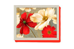 Поднос с подушкой Flower Study Hoff