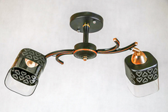 5693/2 BK+FG (6) Люстра потолочная Nina Lighting