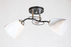 5821/2 BK+CR (10) Люстра потолочная Nina Lighting