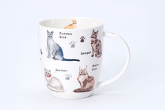 Кружка Hoff Cats