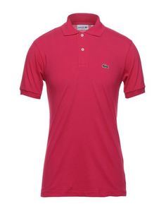 Поло Lacoste