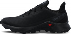 Кроссовки женские Salomon Alphacross 3 W, размер 40