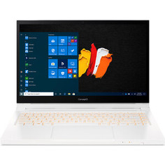 Ноутбук Acer ConceptD 3 Pro CN315-72P-763N (NX,C5ZER,001)
