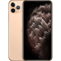 Смартфон Apple iPhone 11 Pro Max, 512GB, Gold (MWHQ2RU/A)