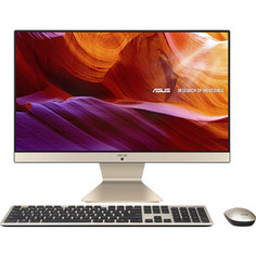 Моноблок Asus Vivo V222FBK-BA009M