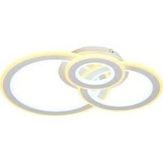 Потолочный светодиодный светильник Ambrella light FA861