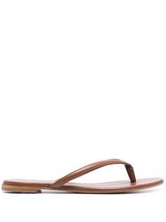 Gianvito Rossi сандалии Calypso с Т-образным ремешком