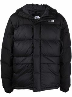 The North Face утепленная парка
