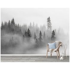 N00804 Фотообои Флизелиновые с виниловым покрытием 3Д "Туманный лес" 400х270 см Barton Wallpapers