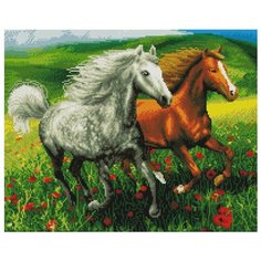 Алмазная мозаика Paintboy GF 4249 Лошади в маковом поле 40x50см
