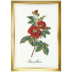 Набор для вышивания "Thea Gouverneur" 2029 "Африканская роза"26 х 38 см