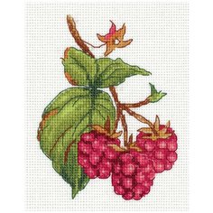 Набор для вышивания KLART "Малина" 12x14 см