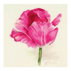 Набор для вышивания Алиса "Тюльпаны. Малиновое сияние" 22х26 см