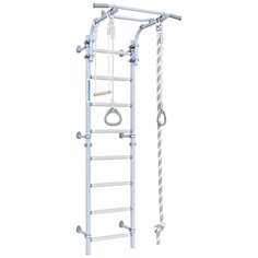 Домашний спортивный комплекс ROMANA Next Skyblue