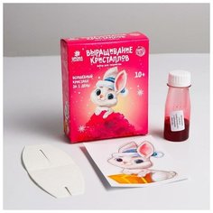 Набор для творчества "Лучистые кристаллы: Зайчик в колпачке", цвет малиновый 5120176 Школа талантов