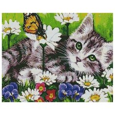 Алмазная мозаика Paintboy Котик на лугу 40х50 см