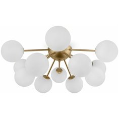 Потолочный светильник Freya Alexis FR5120CL-12G