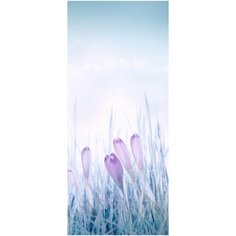 Самоклеящиеся фотообои Doorfix, D044, 95х220см