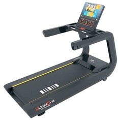 Беговая дорожка UltraGym UG-Power 002