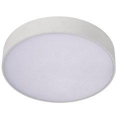 Потолочный светильник Aployt Evon APL.0113.09.24