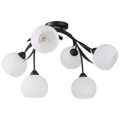 Потолочная люстра Lussole Bagheria GRLSF-6283-06