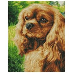 Алмазная мозаика "Спаниель на прогрулке", 40x50 см