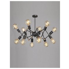 Потолочная люстра V4897-1/12PL (Vitaluce)