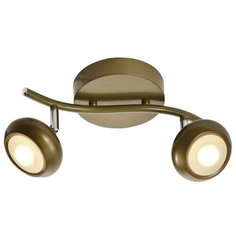 Спот светодиодный Carissa TL1244Y-02SG (TopLight)