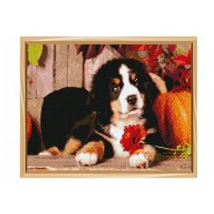 Мозаика алмазная (классическая) 30х40 см ЩЕНОК ЗЕННЕНХУНДА, с подрамником, с полным заполнением (29 цв.) Рыжий кот