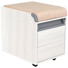 Тумба для парты ДЭМИ ТУВ.10, ШхГхВ: 42.6х57х62 см, цвет: рамух/серый