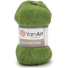 Пряжа YarnArt Angora Star 100гр 500м (20% тонкая шерсть, 80% акрил) (098 зеленый) 5 шт