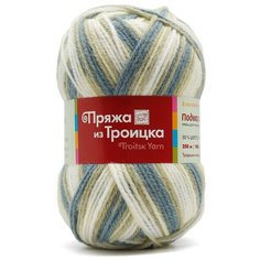 Пряжа из Троицка Подмосковная принт, секц. 100гр. 250м. (50%шерсть, 50%акрил) (4178 секционный) 10 шт Троицкая камвольная фабрика
