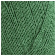 Пряжа для вязания Astra Premium Галатея 100гр. 250м (100% акрил) (09 яркая зелень), 3 мотка